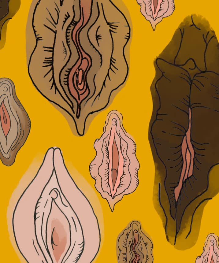 What’s a normal vulva/vagina like?